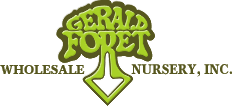 Gerald Foret Nursery